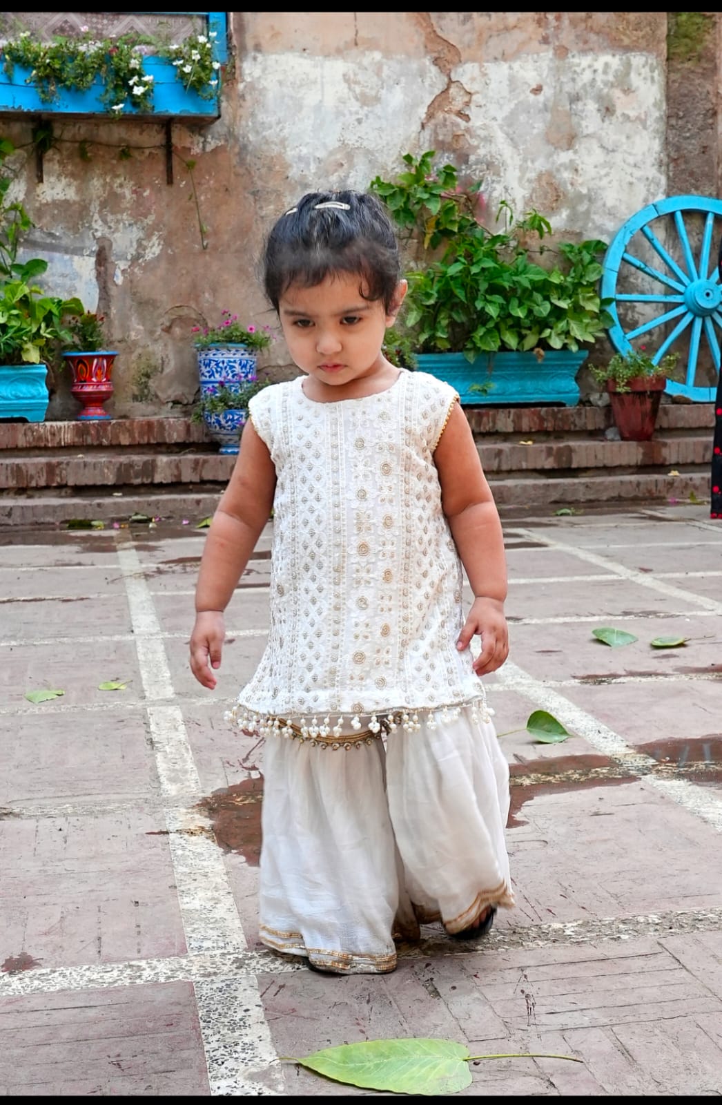 Mini Mora chicken Kari