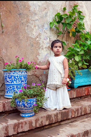 Mini Mora chicken Kari